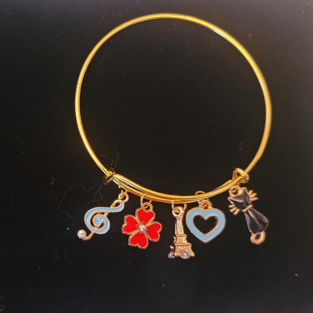 Wire Bangle Adjustable Expandable Charm Bracelet (hand-crafted)